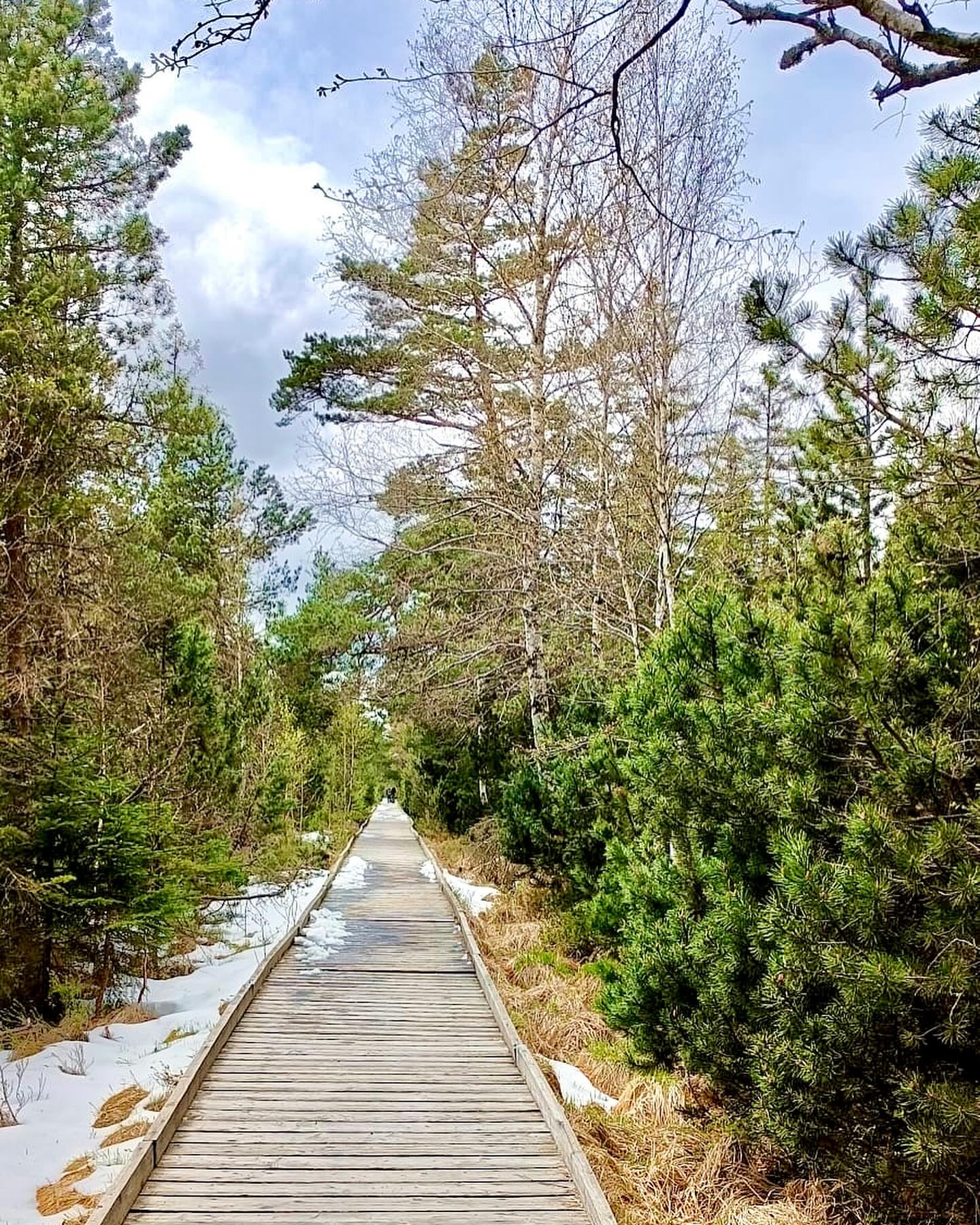 438822242 18026697341039069 2724907285382358588 n